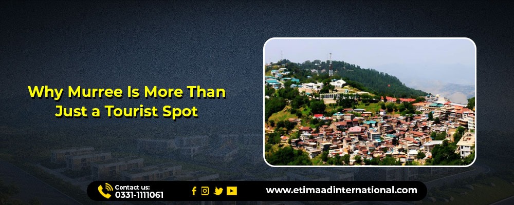 Apartments for Sale on Installments in Murree